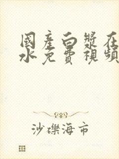 国产白浆在线喷水免费视频