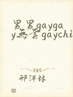 男男gaygay无套gaychina