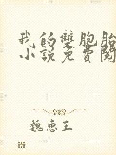 我的双胞胎老婆小说免费阅读全文