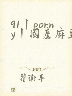 91丨porny丨国产麻豆