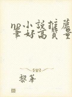 np小说推荐文笔好高质量封面