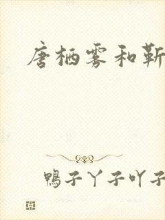 唐栖雾和靳沉野封面