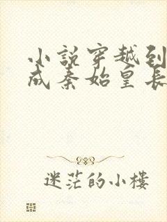 小说穿越到秦朝成秦始皇长子