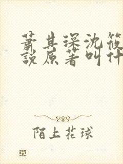 萧其琛沈筱宜小说原著叫什么