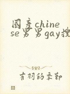 国产chinese男男gay搜索6