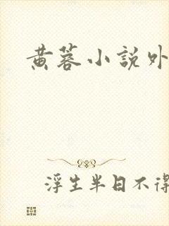 黄蓉小说外传