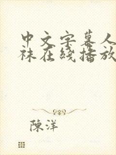 中文字幕人妻丝袜在线播放