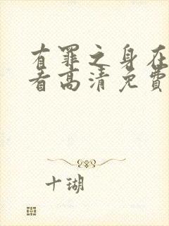 有罪之身在线观看高清免费