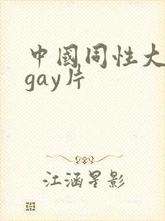 中国同性大尺度gay片