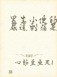 男生小便的时候尿道刺痛是怎么办