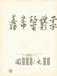 善良的嫂子2韩语中电影字