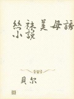 丝袜美母诱惑我小说封面