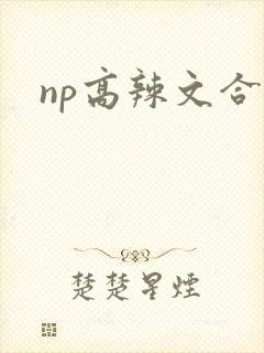 np高辣文合集
