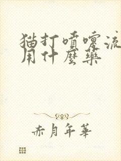 猫打喷嚏流鼻涕用什么药