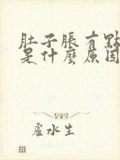 肚子胀有点反胃是什么原因