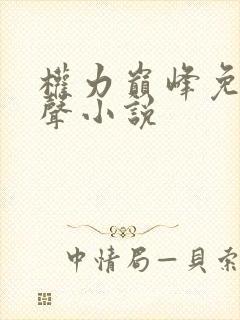 权力巅峰免费有声小说