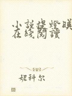 小说提灯映桃花在线阅读