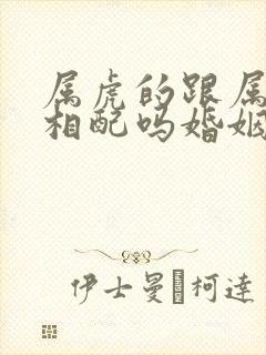 属虎的跟属龙的相配吗婚姻