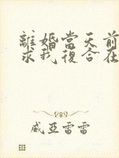 离婚当天前夫跪求我复合在线全文阅读