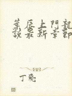 叶辰上门龙婿小说最新章节