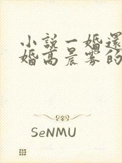 小说一婚还比一婚高晨雾的光