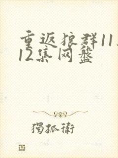重返狼群11集12集网盘
