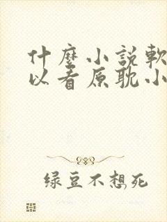 什么小说软件可以看原耽小说