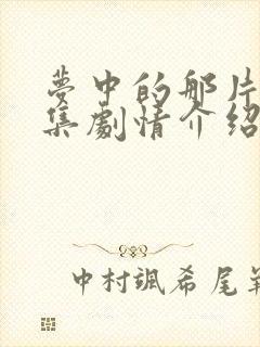 梦中的那片海每集剧情介绍封面