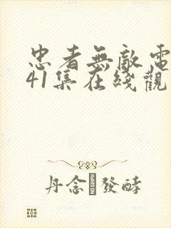 忠者无敌电视剧41集在线观看免费封面