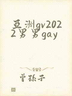 亚洲gv2022男男gay