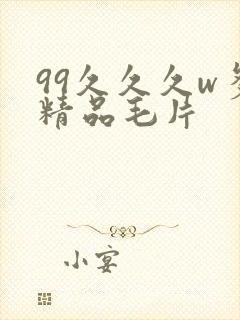 99久久久w多精品毛片