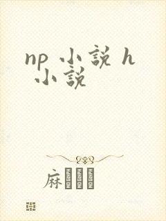 np 小说 h 小说封面