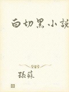白切黑小说推荐