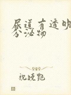 尿道有透明液体分泌物