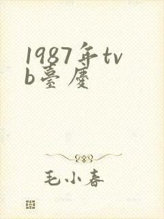 1987年tvb台庆