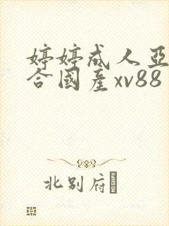 婷婷成人亚洲综合国产xv88封面