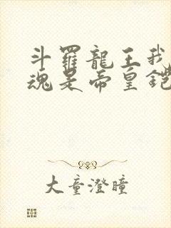 斗罗龙王我的武魂是帝皇铠甲免费阅读