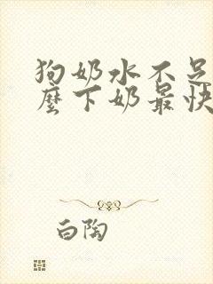 狗奶水不足吃什么下奶最快