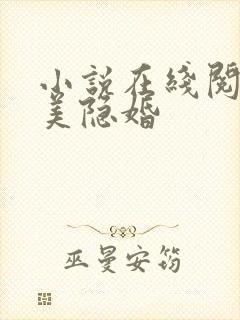 小说在线阅读完美隐婚