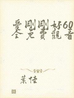 爱刚刚好60集全免费观看电视剧