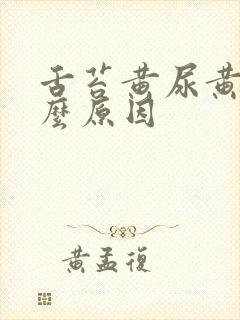 舌苔黄尿黄是什么原因