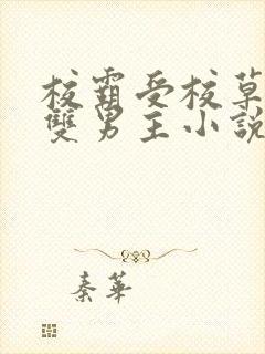 校霸受校草攻的双男主小说封面