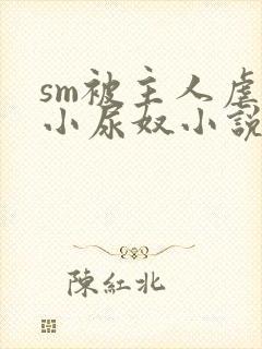 sm被主人虐玩小尿奴小说