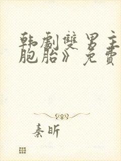 韩剧双男主《双胞胎》免费观看