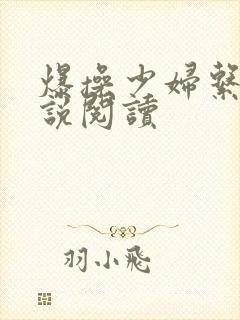 爆操少妇系列小说阅读封面