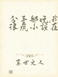 分手那晚,我们很疯小说在线阅读