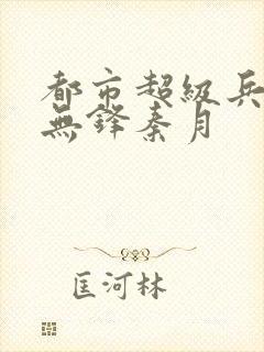 都市超级兵王李无锋秦月