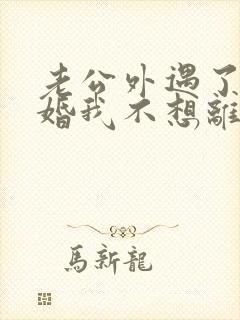 老公外遇了要离婚我不想离婚怎么办