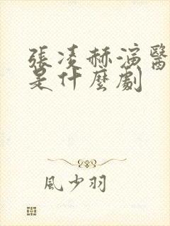 张凌赫演医生的是什么剧封面