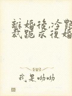 离婚后,冷艳总裁跪求复婚全集在线阅读